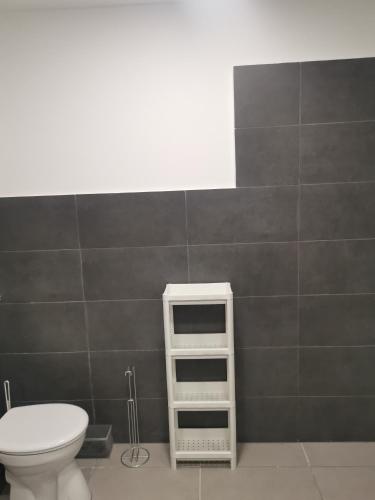 a bathroom with a toilet and a white shelf at Podlovics Tanya Panzió in Kemecse