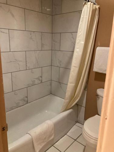A bathroom at Regalodge Motel