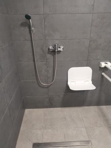 a bathroom with a shower with a toilet in it at Podlovics Tanya Panzió in Kemecse