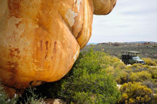 a large pumpkin sitting on top of a field with a truck at Kagga Kamma Nature Reserve in Lochlynne