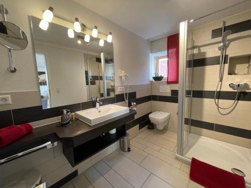 een badkamer met een wastafel, een douche en een toilet bij Apartment am Schloss in Sigmaringen