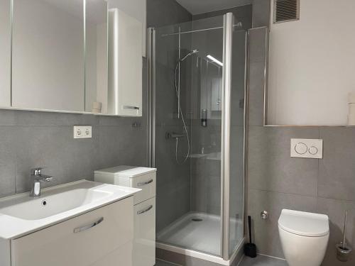a bathroom with a shower and a sink and a toilet at Moderne Studios im Herzen von Osnabrueck in Osnabrück