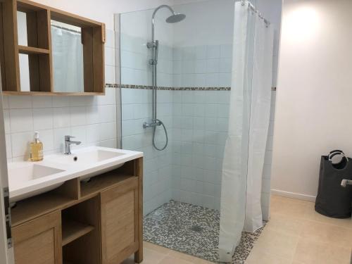 bagno con lavandino e doccia di Maison de campagne Chez Georges a Saint-Sulpice-de-Pommiers