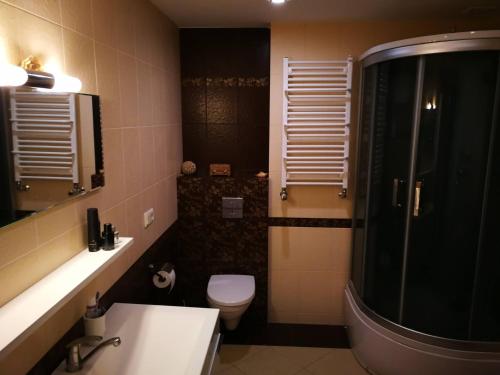 a bathroom with a toilet and a sink and a shower at Sunset Terrace Apartment in Klaipėda