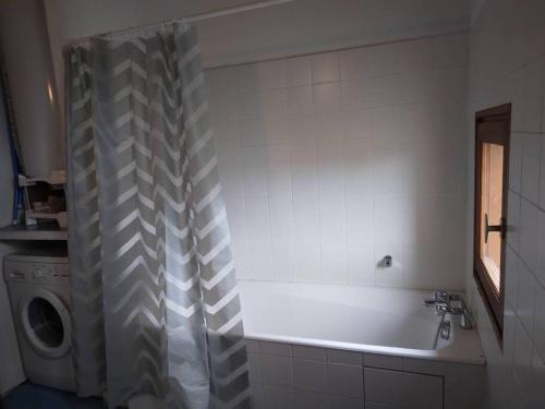 une salle de bain avec baignoire et machine à laver dans l'établissement LE PETIT FROUAS NORD, à Vielle-Saint-Girons