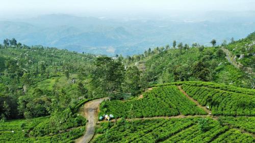 an aerial view of a hill with a dirt road at leisure Mount View in Haputale