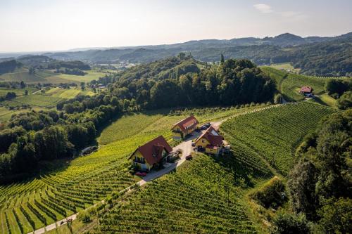 Afbeelding uit fotogalerij van Ferienwohnung Weingut Birnstingl in Gamlitz