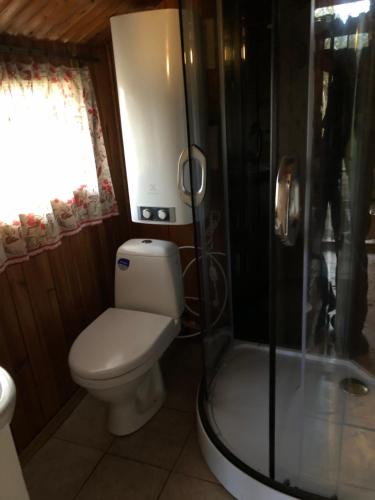 a bathroom with a toilet and a shower at Vedru Puhketalu in Väike-Rakke