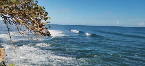a view of the ocean with two waves at Cabinas Mitchaelle's in Puerto Viejo