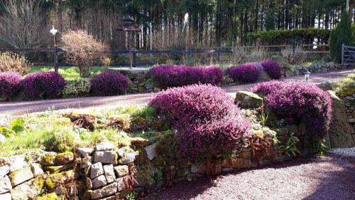 a garden with purple bushes and a stone wall at Le Petit Bois Normand in Champ-du-Boult