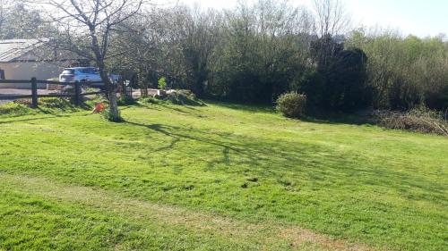 a shadow of a tree on a grass field at Le Petit Bois Normand in Champ-du-Boult