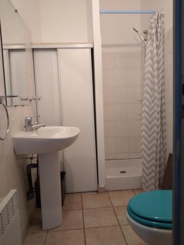 ein Bad mit einem Waschbecken, einem WC und einer Dusche in der Unterkunft "Les Balcons 2" -T2-balcons-Garage privé optionnel-Centre historique & plages à 21km ! in Pézenas