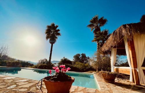 un resort con piscina circondata da palme di Finca Sa Moleta Nou a Son Macia