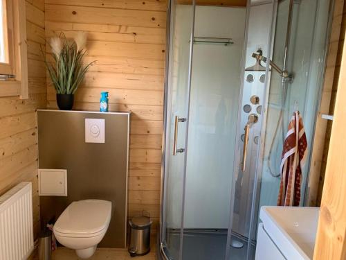 a bathroom with a shower and a toilet and a sink at Ferienhaus Tollensesee in Groß Nemerow