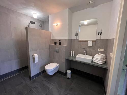 ein Badezimmer mit einem WC, einem Waschbecken und einem Spiegel in der Unterkunft B&B aan het Dijksteegje in Sint-Oedenrode