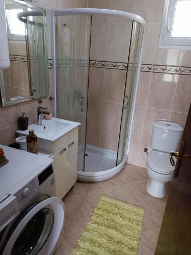Salle de bains dans l'établissement Serbian home with garden