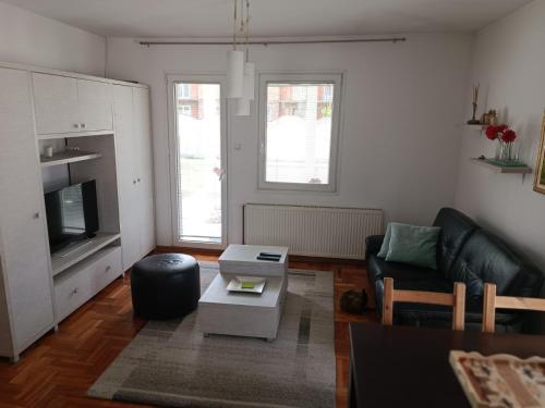 Cuisine ou kitchenette dans l'établissement Serbian home with garden