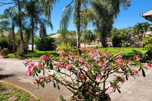 Zahrada ubytování Updated Fort Myers Escape with Screened Lanai!