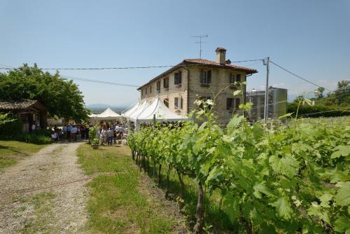 an old building next to a field of vines at Le Fade in Susegana