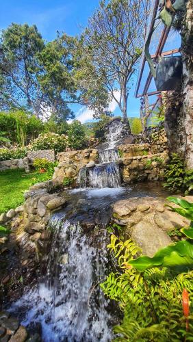 a waterfall in the middle of a garden at The Residence by Villa Alejandro in Boquete
