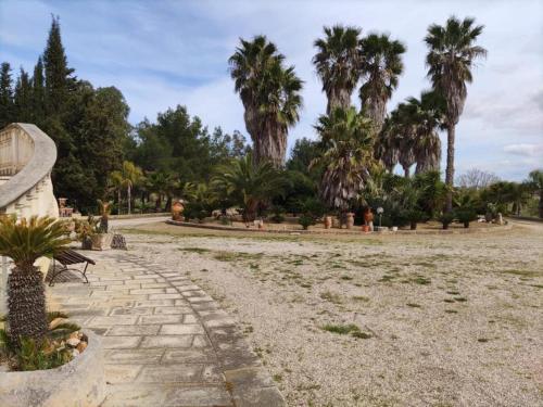 Villa Celea – Photos 3