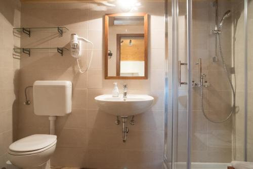 a bathroom with a toilet and a sink and a shower at Apartma BioFit Bled in Bled