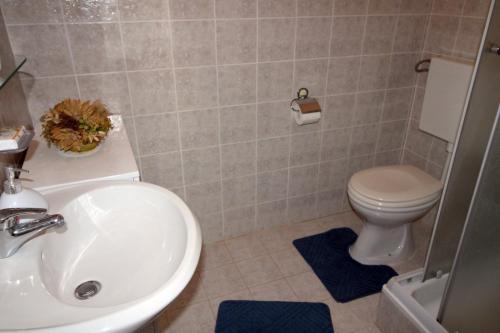 Koupelna v ubytování Apartment Mirjana