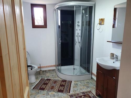 a bathroom with a shower and a toilet and a sink at Căsuța din Gradina in Breb