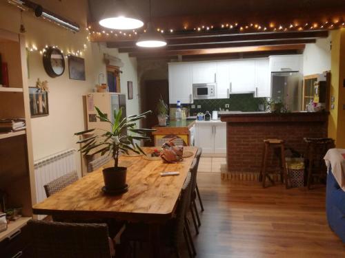 a kitchen with a wooden table with a plant on it at Mirador de Gratal - Sierra de Loarre in Bolea