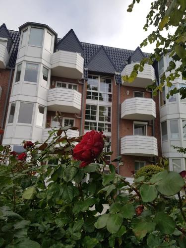 un rosal rojo frente a un edificio en FeWo Seeschloss Nr 5, en Dahme