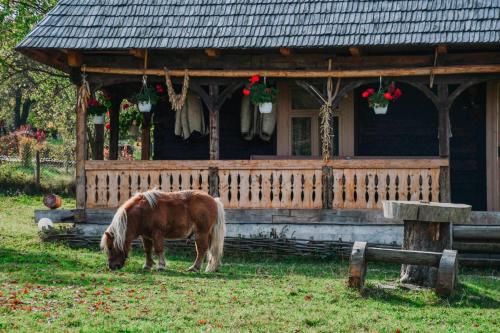 a horse grazing in the grass in front of a house at Casuța din Grădină in Breb
