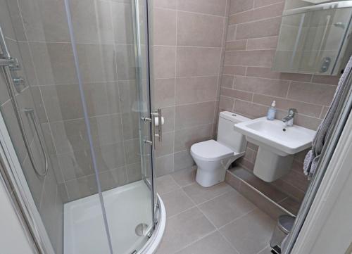 a bathroom with a shower and a toilet and a sink at Churchmount Holiday Home Roundwood by Trident Holiday Homes in Wicklow