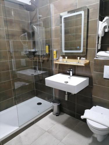 a bathroom with a shower and a sink and a toilet at La Buissonnière in Corbigny