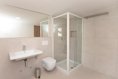 a bathroom with a shower and a toilet and a sink at Zotlar House in Bohinj