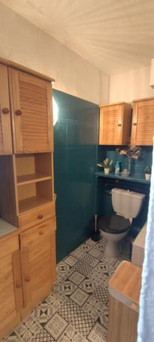 une salle de bain avec toilettes et un mur bleu dans l'établissement Appartement 2 chambres avec vue au pied des pistes, à Chamrousse
