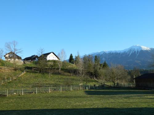 Foto dalla galleria di Apartma BioFit Bled a Bled