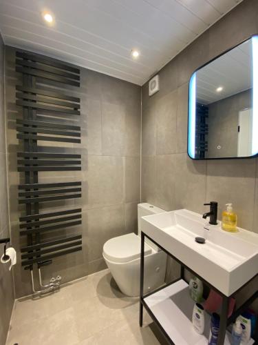 マトロックにあるAdorable Tiny Home Garage Conversion Matlock Bathのバスルーム(洗面台、トイレ、鏡付)