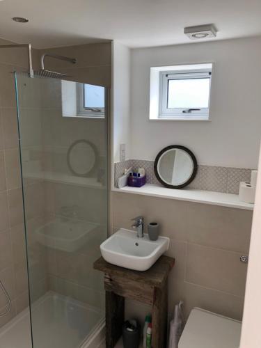 a bathroom with a sink and a shower at The Shack in East Wittering