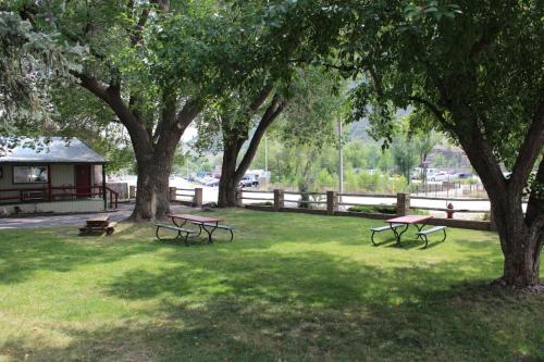 zwei Picknicktische und Bänke in einem Park mit Bäumen in der Unterkunft Wapiti Lodge in Durango