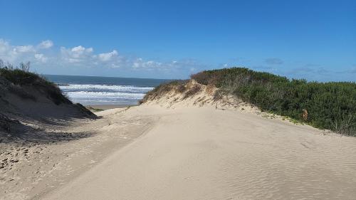a dirt road leading to the ocean on a beach at Cabañas Los Ñatos SE RESERVA CON SEÑA !!! in Barra del Chuy