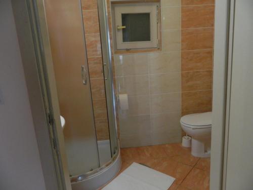 a bathroom with a shower and a toilet at Apartments vila Vanda in Poreč