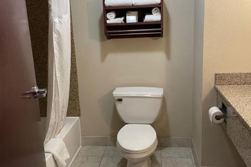 a bathroom with a toilet and a bath tub at Holiday Inn Express & Suites Niagara Falls by IHG in Niagara Falls