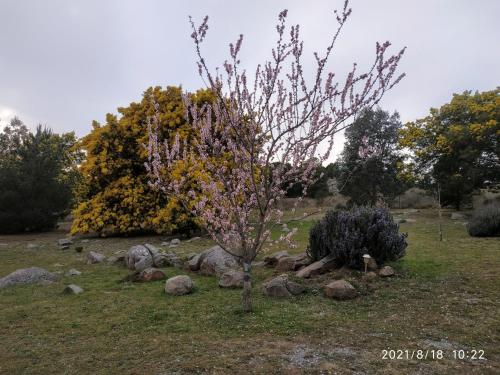 Zahrada ubytování Las Golondrinas