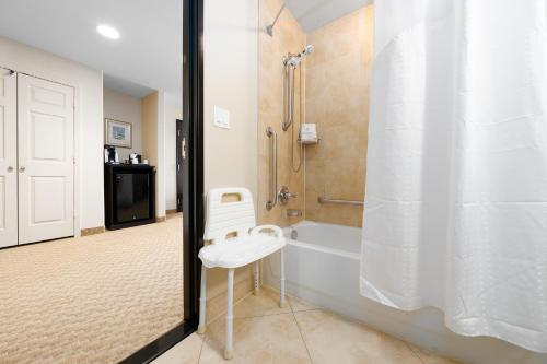 Bathroom sa Holiday Inn Temple - Belton, an IHG Hotel