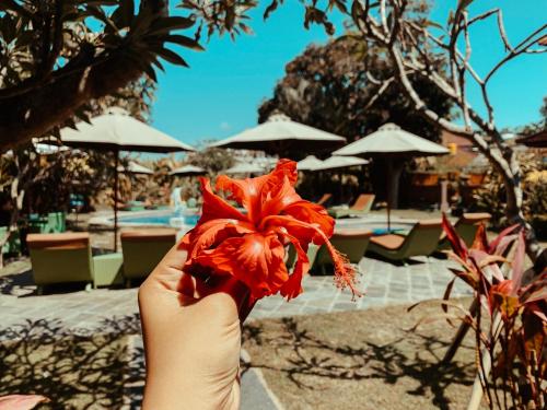 a hand holding a red flower in front of a pool at Bali Wirasana Inn in Sanur