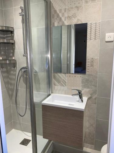 une salle de bain avec un lavabo et une douche dans l'établissement Studio Vagliano, à Cannes