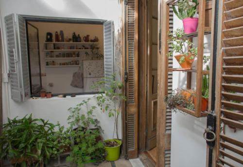 una habitación con plantas y una ventana en Departamento en San Telmo en Buenos Aires