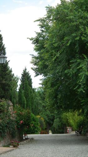 a street with a large tree and bushes and trees at Il Canto del Sole in Monteroni dʼArbia