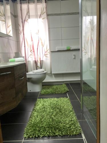 ein Badezimmer mit einem WC und einer Dusche mit Gras in der Unterkunft Knoblochs Ferienhof in Weißenberg