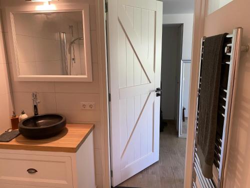 a bathroom with a sink and a mirror at Holidayhome Geuzenhoeve op de Munnickaij in Schellinkhout